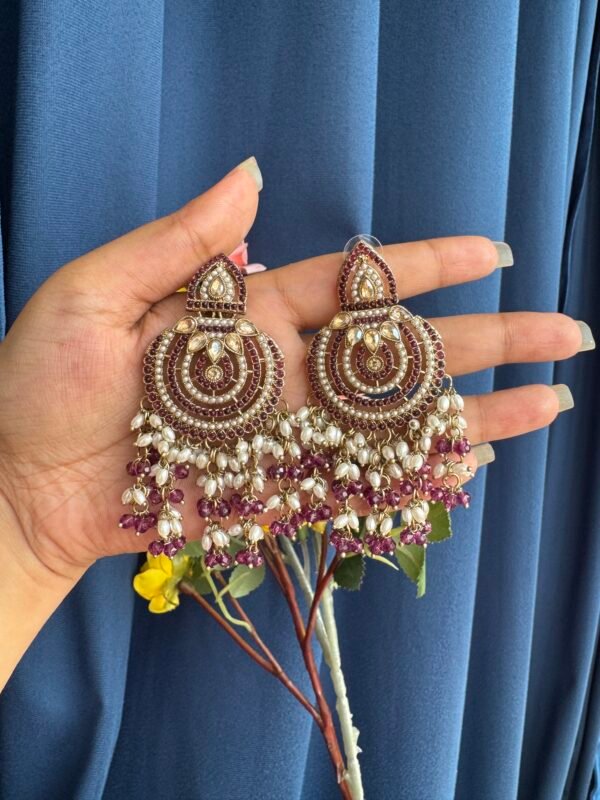 Disha Premium Earrings - Wine