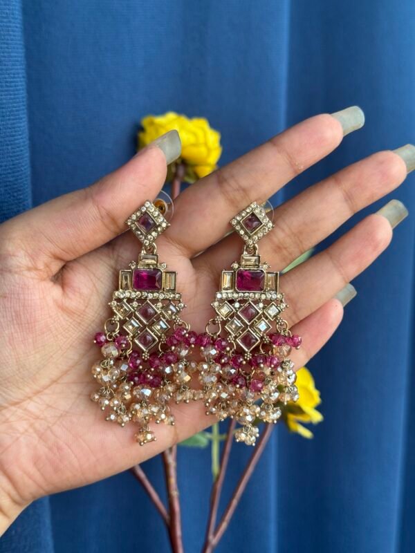 Dharni Wine Beauty