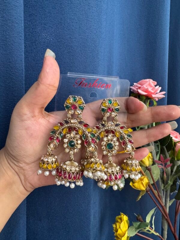 Alisha Premium Earrings - Multi