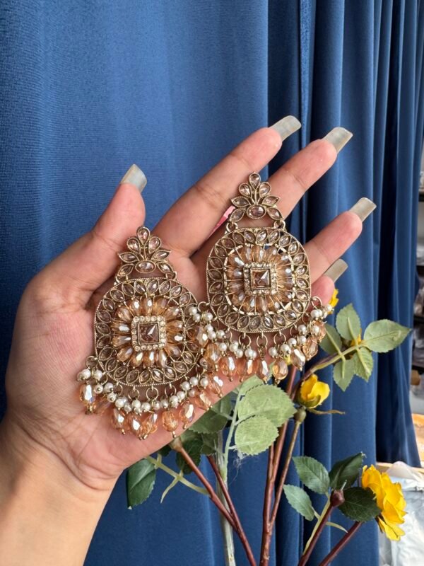 Reverse AD Premium Earrings
